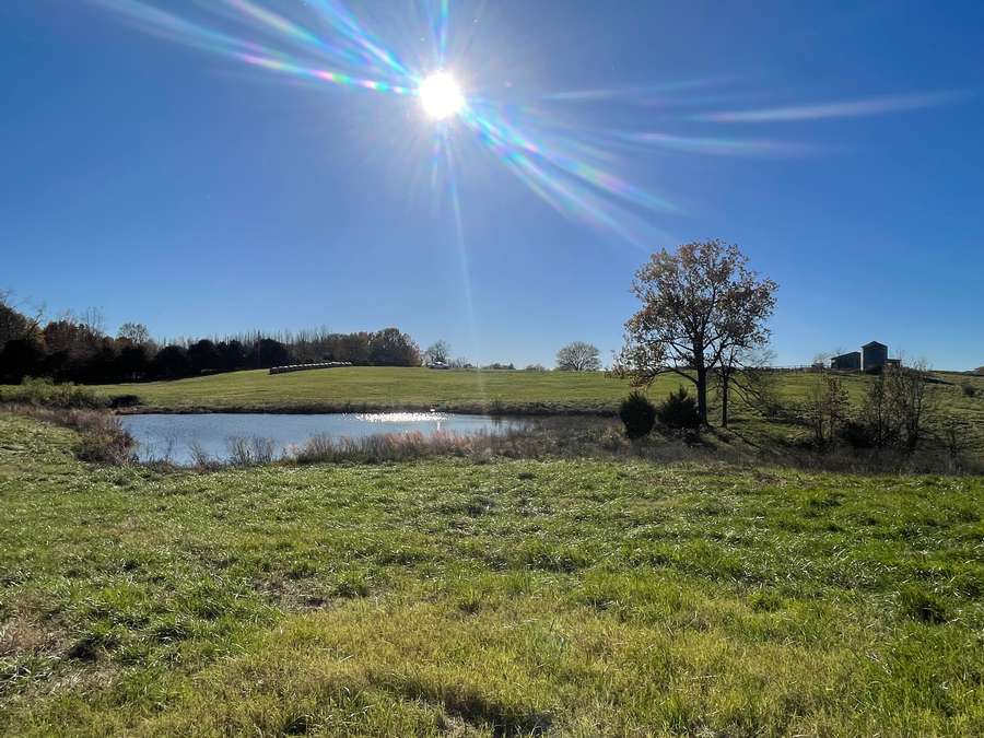 Harviell MO Cattle Farm